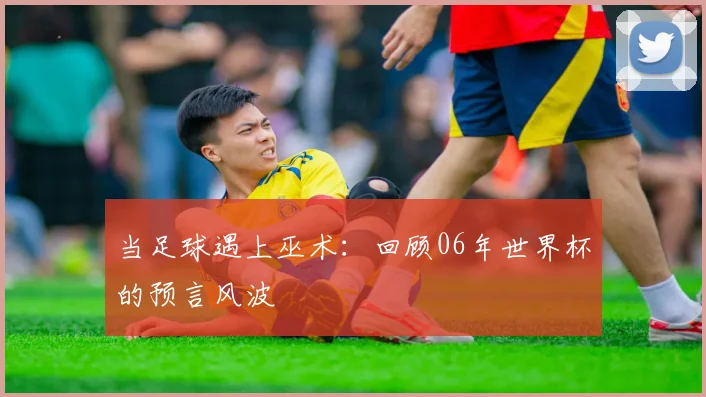 当足球遇上巫术：回顾06年世界杯的预言风波