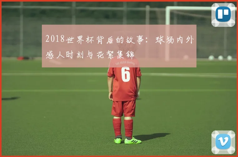 2018世界杯背后的故事：球场内外感人时刻与花絮集锦