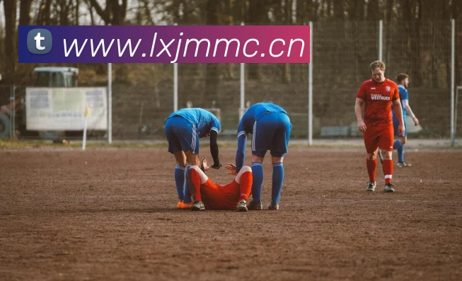 App Interface Preview